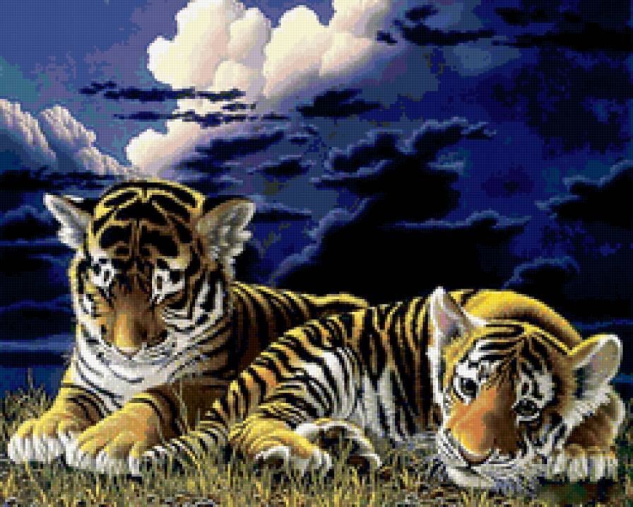 тигрята ,тигр - коты, тигр, тигрята - предпросмотр