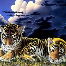 Оригинал схемы вышивки «тигрята ,тигр» (№239381)