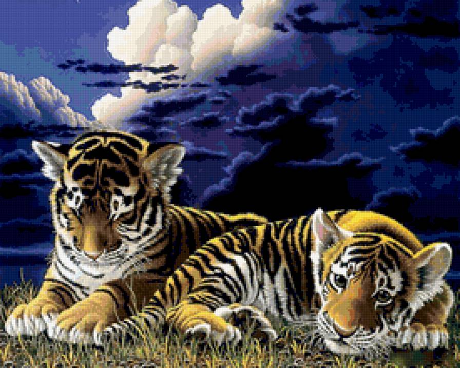 тигрята ,тигр 2 - тигрята, тигр, кот - предпросмотр