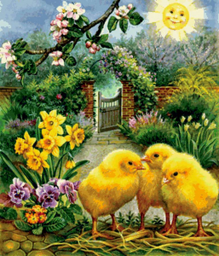 цыплята - предпросмотр