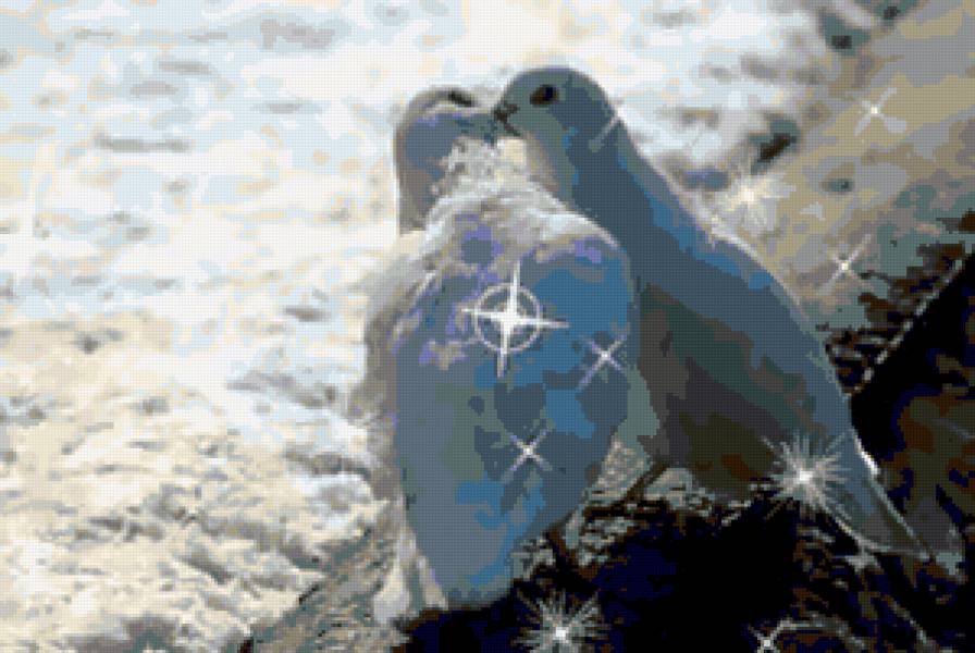 Голуби. - голуби., птицы - предпросмотр