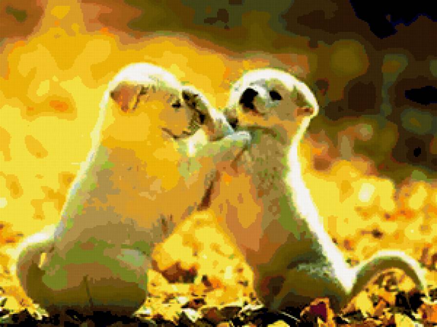 Друзья. - животные, собачки. - предпросмотр