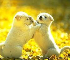 Схема вышивки «Друзья.»