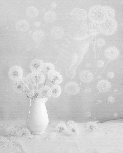 одуванчики - одуванчик, цветы - оригинал