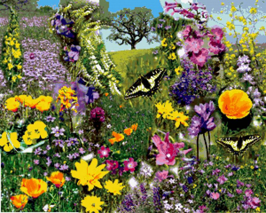 Бабочки - бабочки, лето - предпросмотр