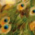 Предпросмотр схемы вышивки «Павлины» (№239726)