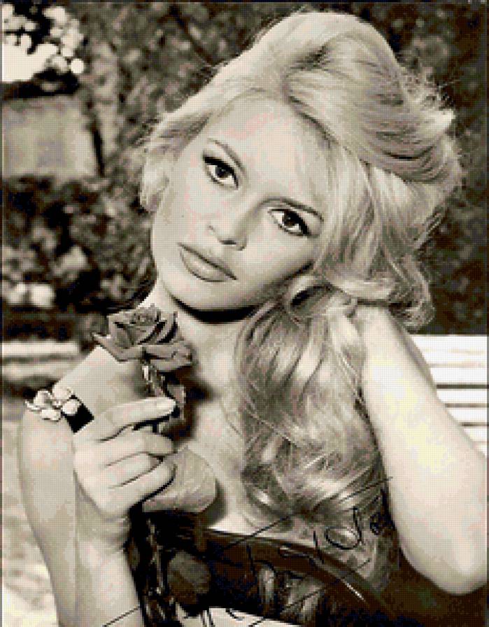 Бриджит Бардо - девушка с розой, бардо - предпросмотр