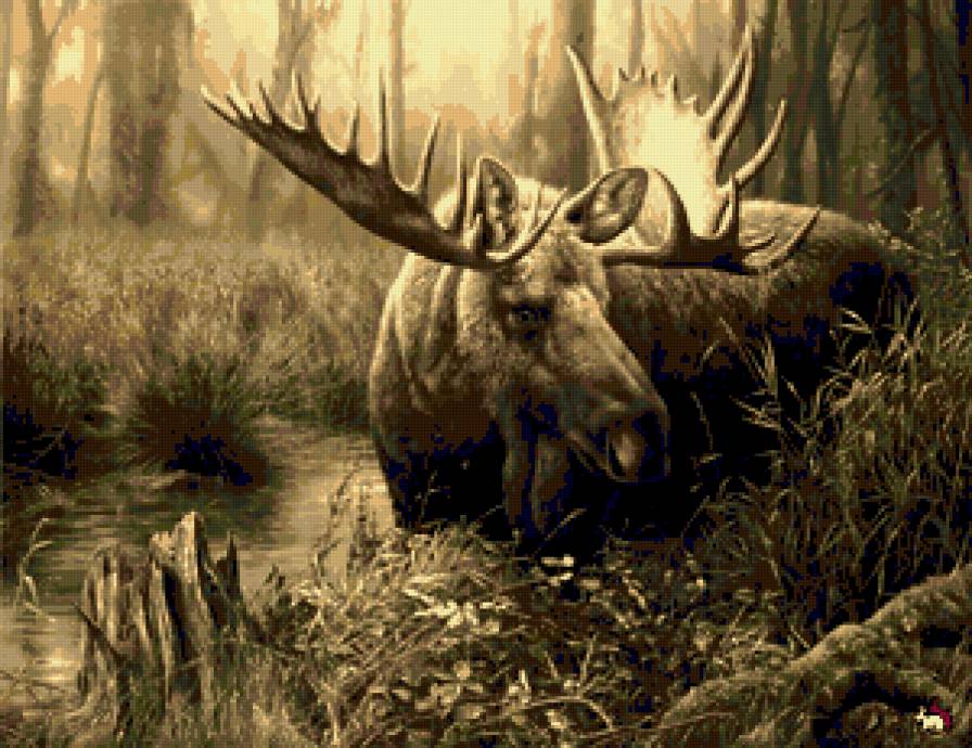 Лось. - лось., животные - предпросмотр