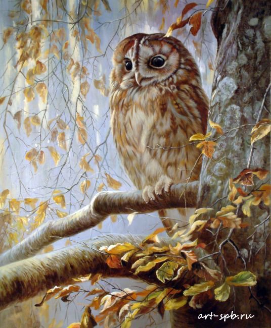 №239806 - оригинал