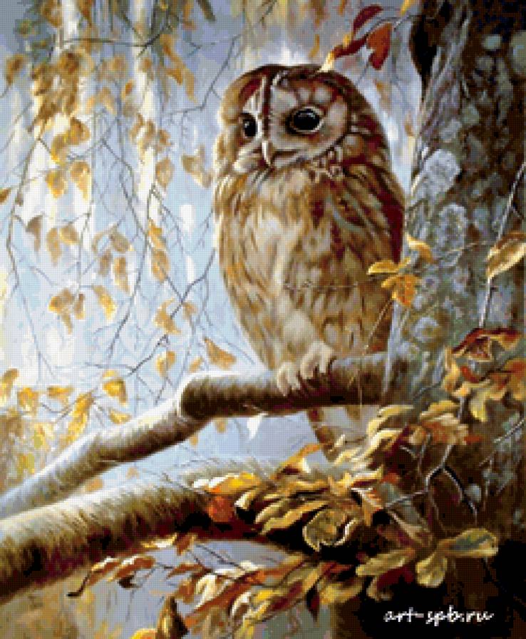 №239806 - предпросмотр