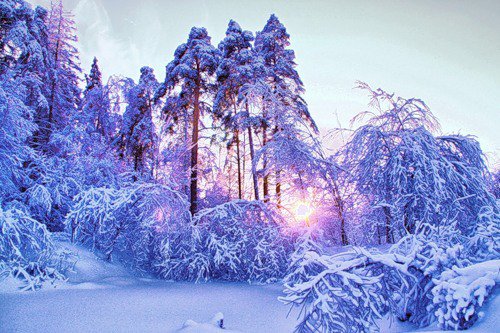 зима - оригинал