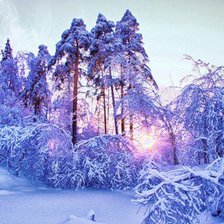 Схема вышивки «зима»