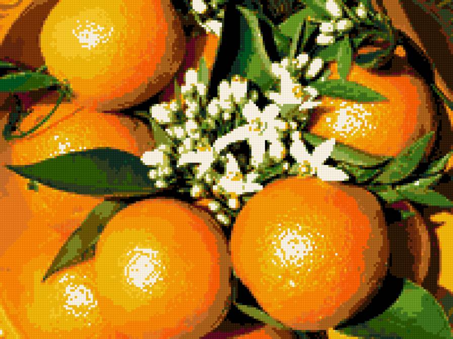 Апельсины. - кухня, фрукты, еда, апельсины. - предпросмотр