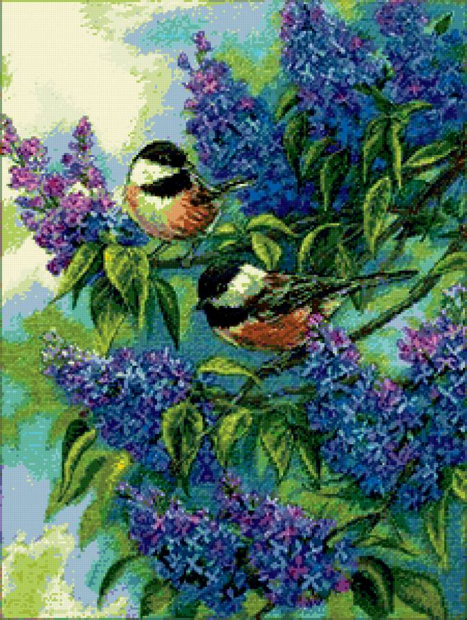 Птички в сирени - предпросмотр