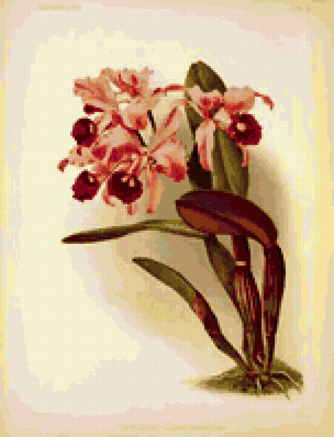 №240092 - предпросмотр