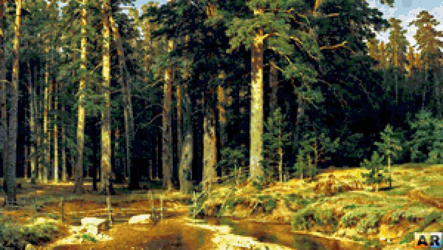 Сосны - пейзаж, природа - предпросмотр