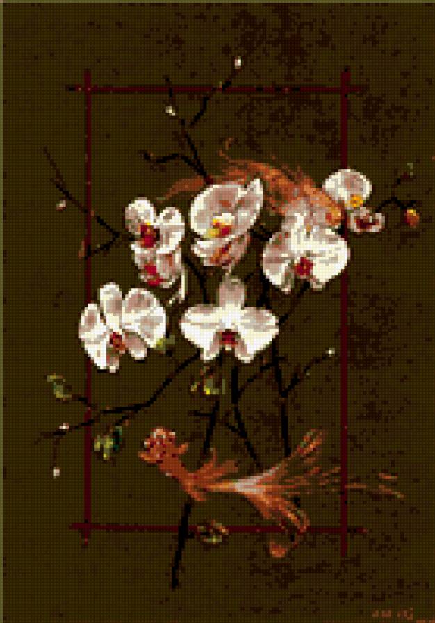 орхидеи - цветы орхидеи - предпросмотр