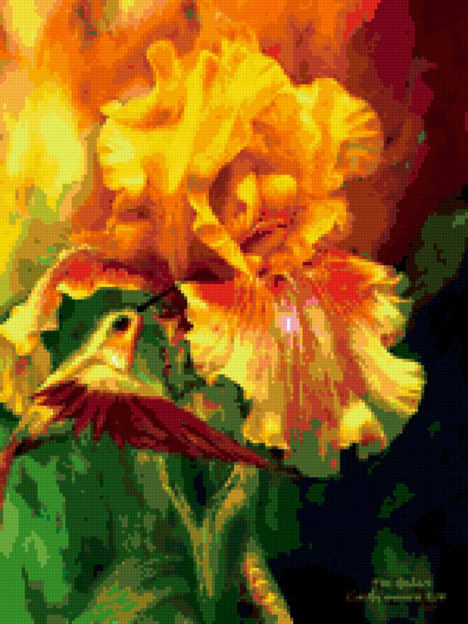 ирис - цветы ирис калибри - предпросмотр