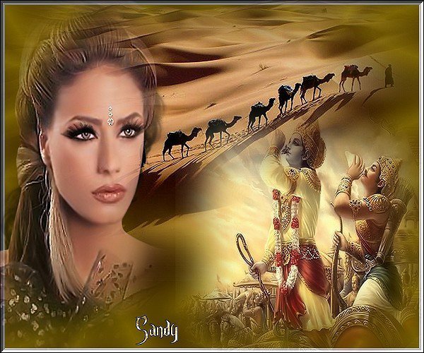 №240225 - оригинал