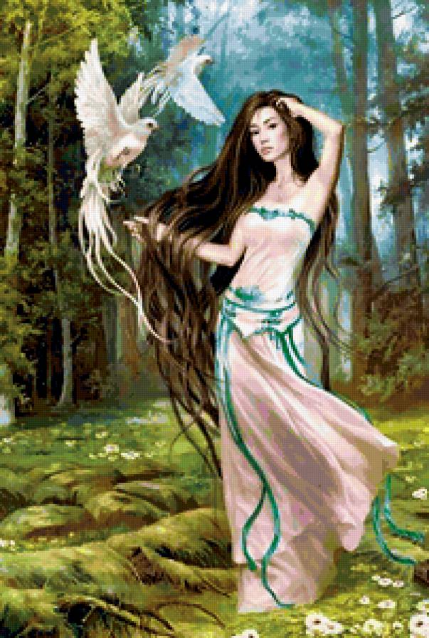 №240288 - предпросмотр