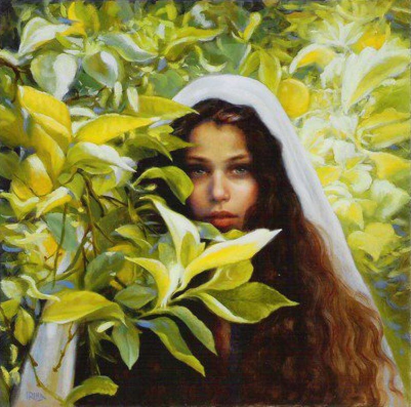 №240330 - оригинал