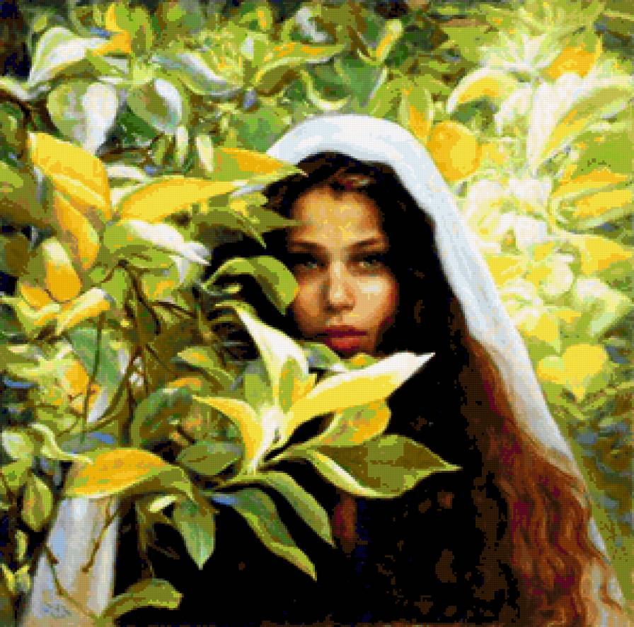 №240330 - предпросмотр