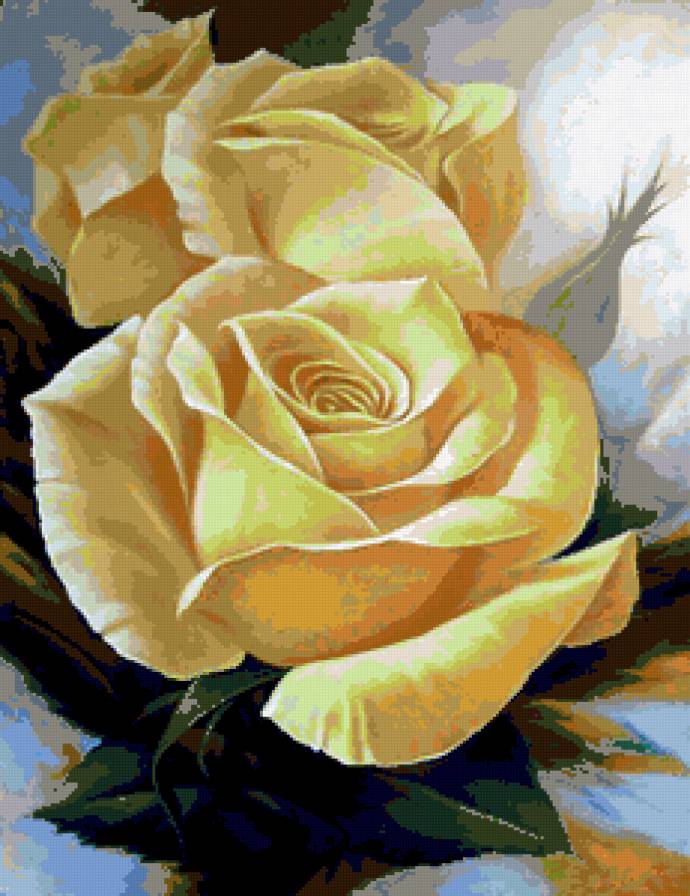 Розы. - розы, цветы - предпросмотр