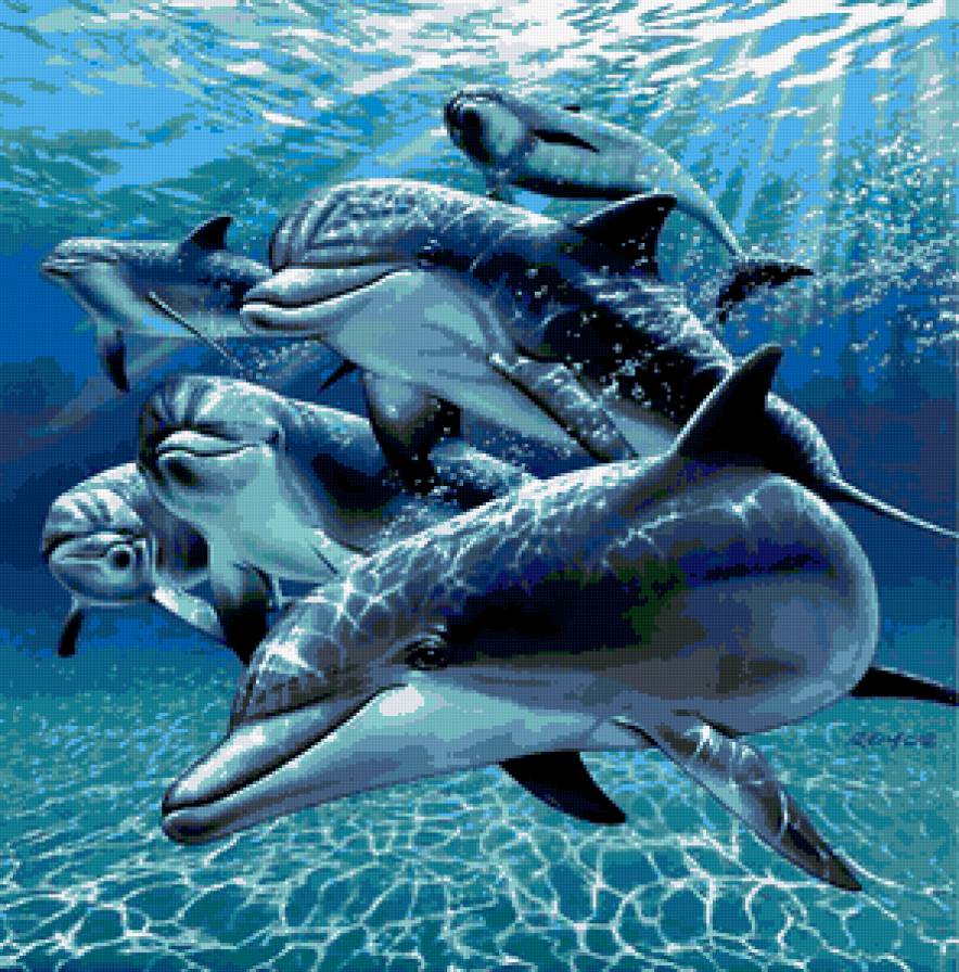 делбфины - рыбы, дельфины, море - предпросмотр