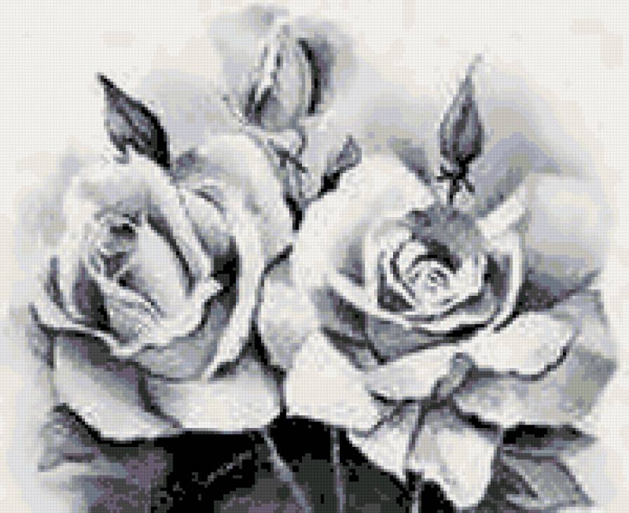 черно белые розы - предпросмотр