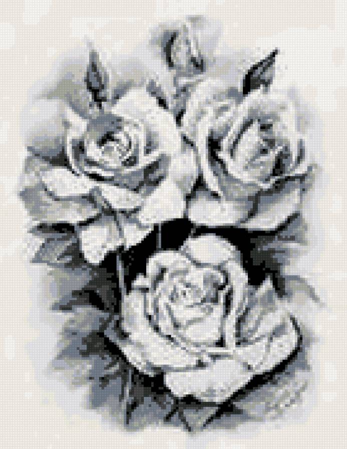 черно белые розы - предпросмотр