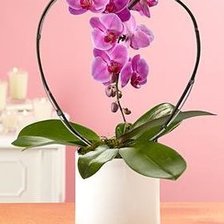 Схема вышивки «№240587»