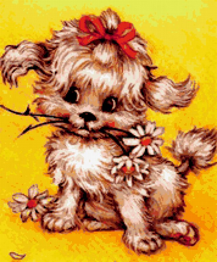 милашка - собачка, животные, ромашка - предпросмотр