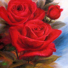 Схема вышивки «vörös rózsa»