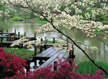 Река. - природа, весна., река - оригинал