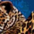 Предпросмотр схемы вышивки «Леопарды» (№240905)