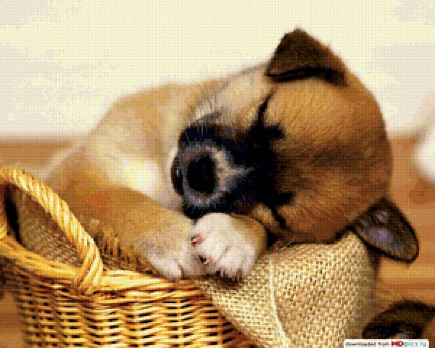 Сладкий сон - предпросмотр