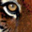 Предпросмотр схемы вышивки «Тигр» (№240912)