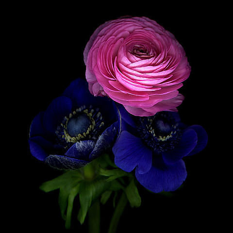 №240974 - оригинал