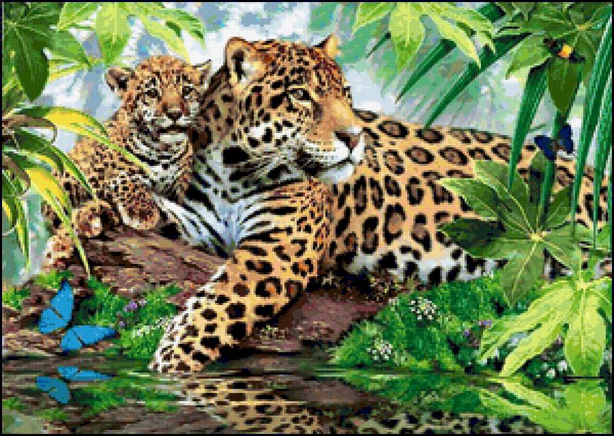 Леопарды - зверы, природа, картина, леопарды - предпросмотр