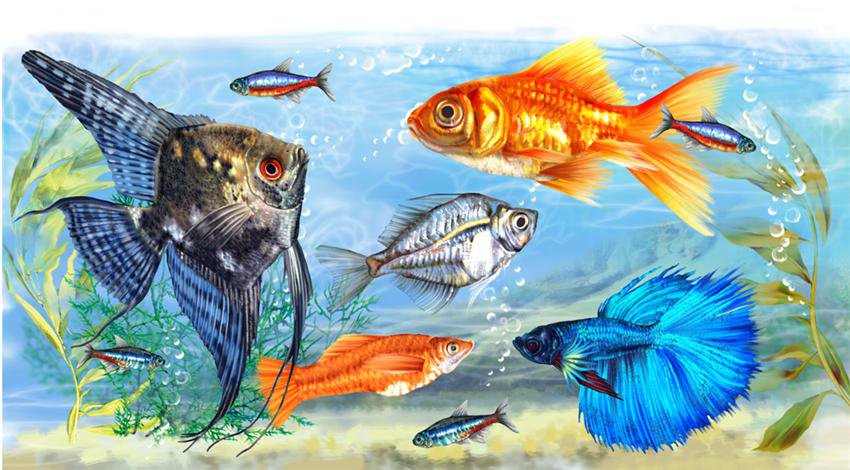 Аквариум - рыбы, пейзаж, вода - оригинал
