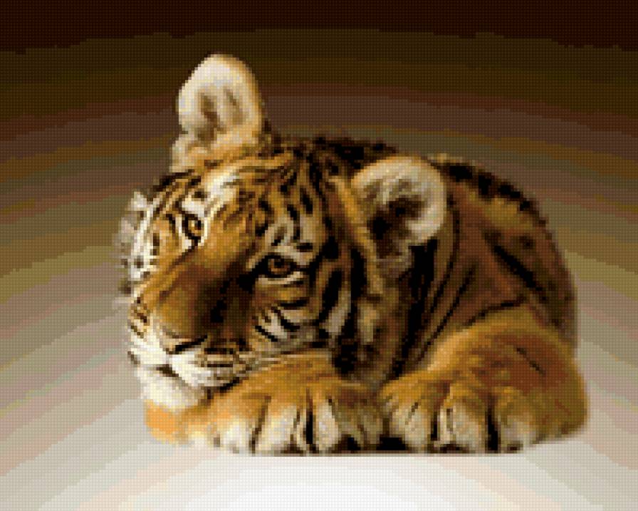 тигра - предпросмотр
