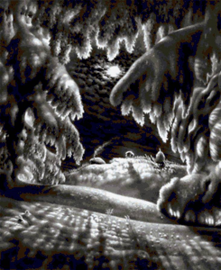 Черно - белая зима - зима, пейзаж, природа, монохром, черно-белое - предпросмотр