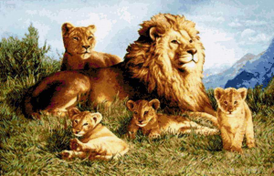 Львиная семья - нежность, семья, хищник, зверь, животные, дикие кошки, лев, львы - предпросмотр