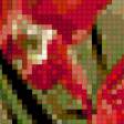 Предпросмотр схемы вышивки «красная орхидея» (№241545)