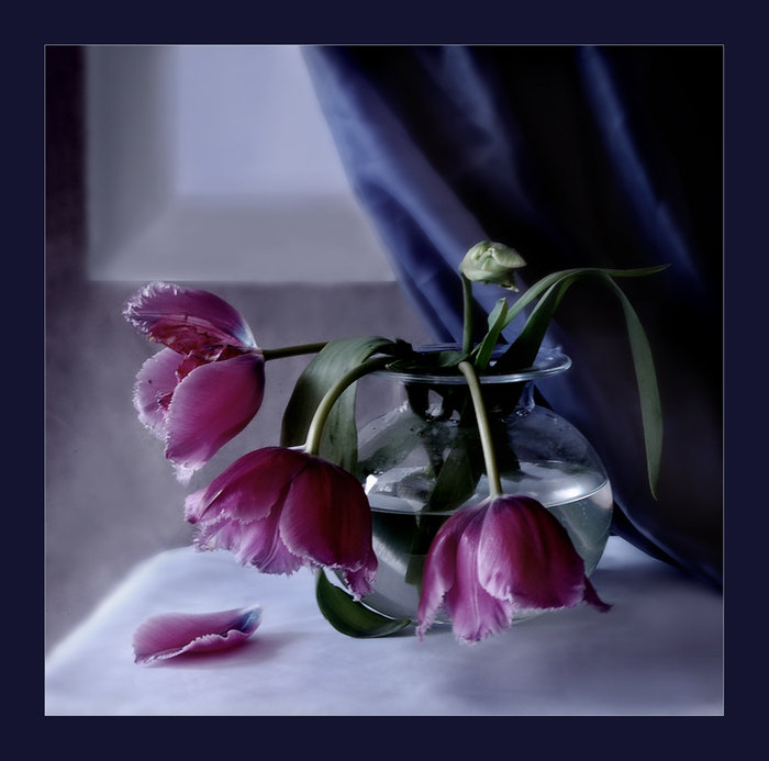 №241555 - оригинал