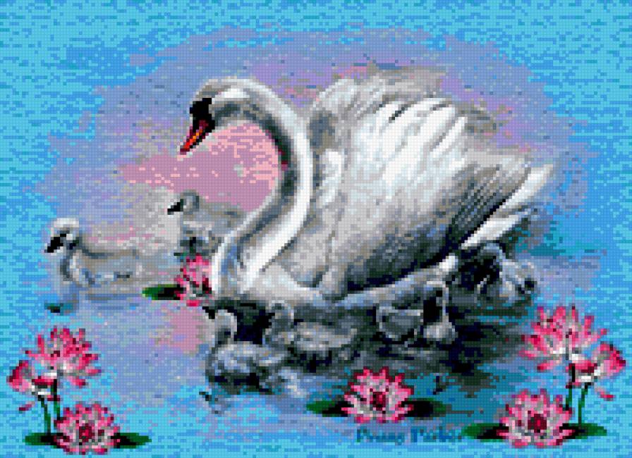 лебединая семья - природа озеро лебеди - предпросмотр