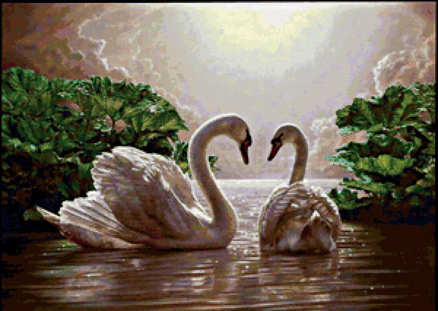 Лебеди - предпросмотр