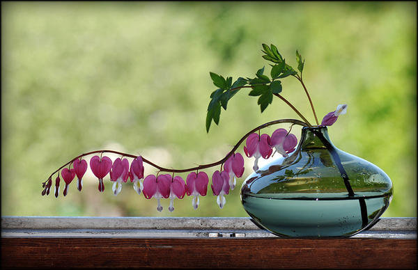 Натюрморт - на окне - оригинал