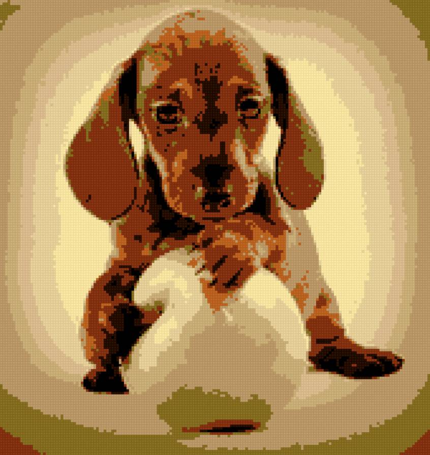 такса с яблоком - предпросмотр