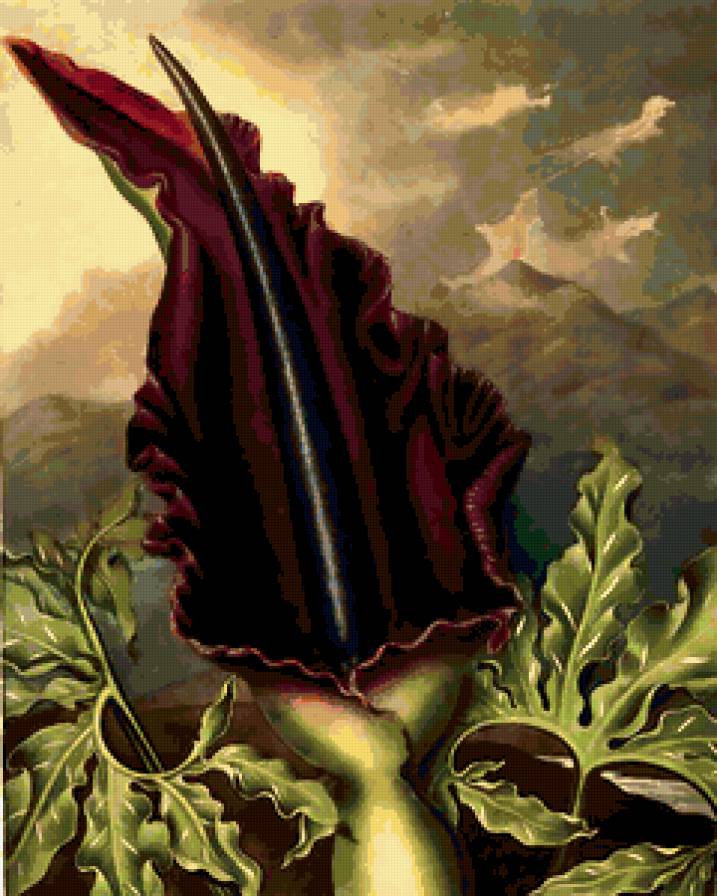 Гранвиль Жерар. - шаржи., цветы, графика - предпросмотр